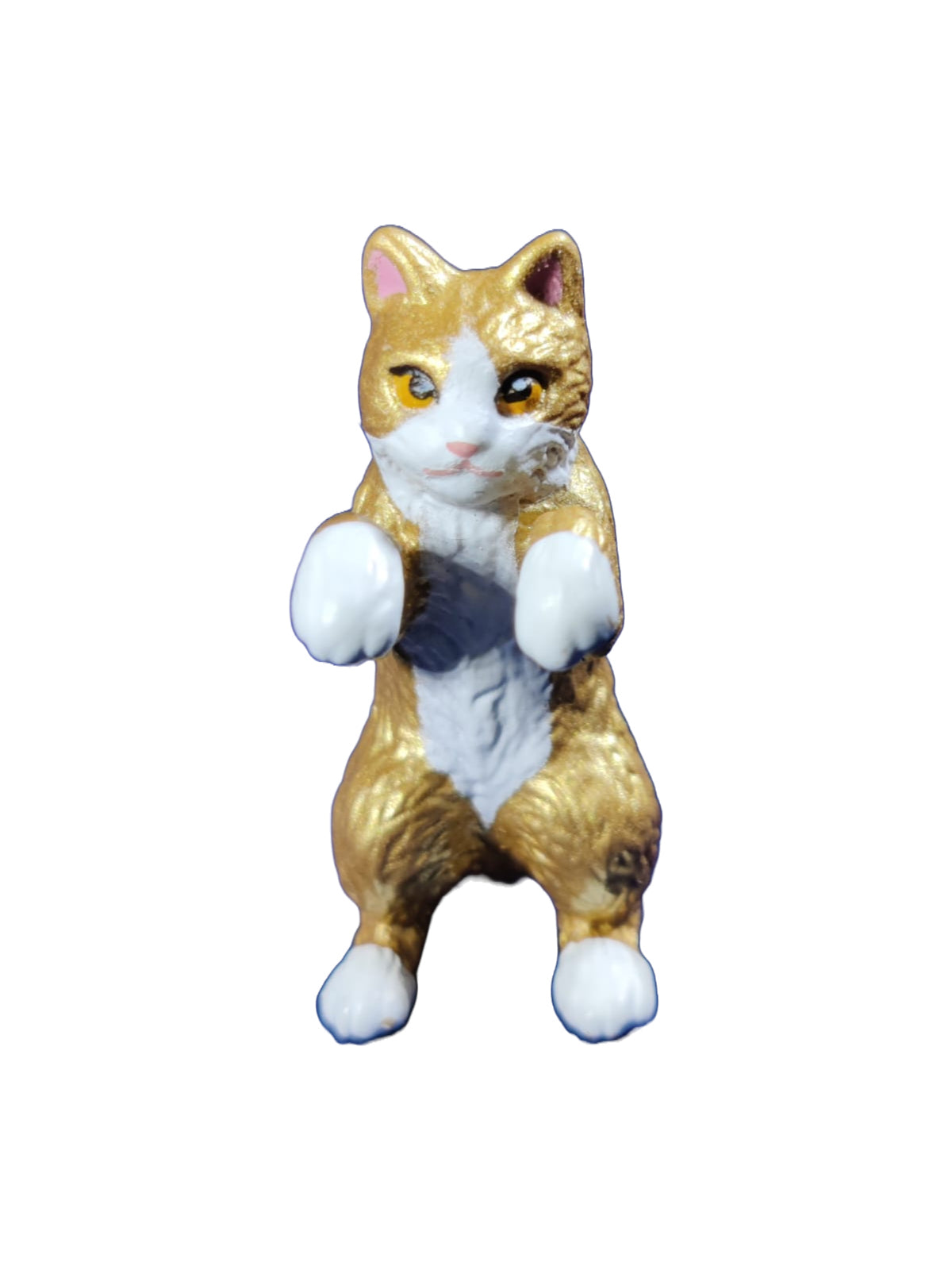 Hang On Cats