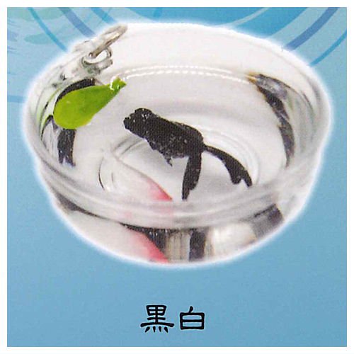 Four-tailed Goldfish Small Bowl