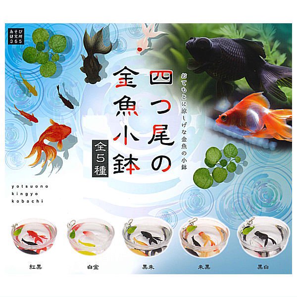 Four-tailed Goldfish Small Bowl