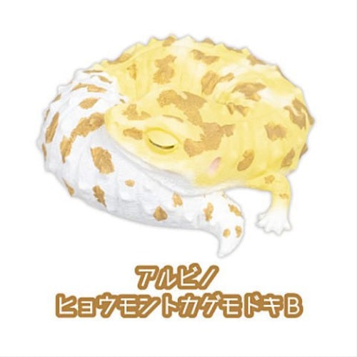 Leopard Gecko Good Night Series Part.2