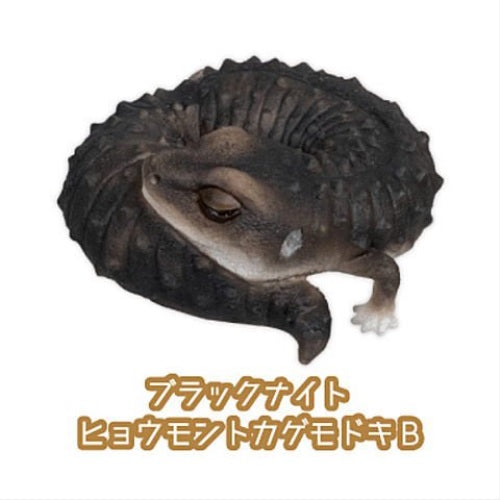Leopard Gecko Good Night Series Part.2