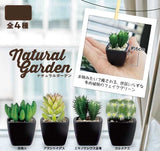 Artificial Succulent Plants
