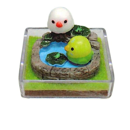 Kotori-tai Mini Terrarium