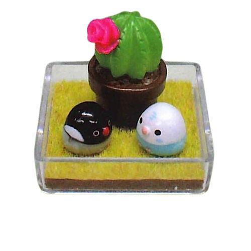 Kotori-tai Mini Terrarium