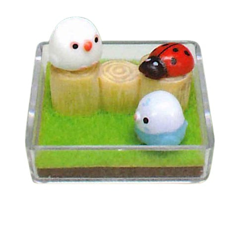 Kotori-tai Mini Terrarium