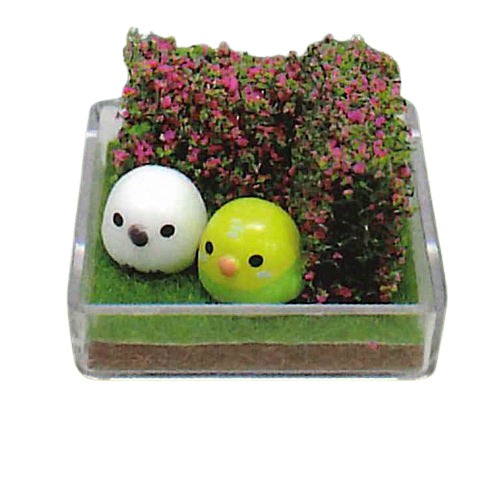 Kotori-tai Mini Terrarium