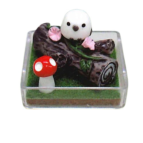 Kotori-tai Mini Terrarium