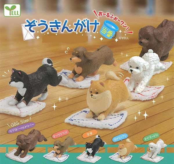 Mopping Doggy