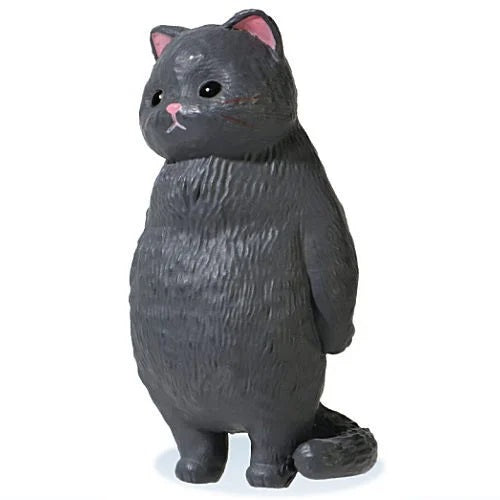 KYOMU Cat 2