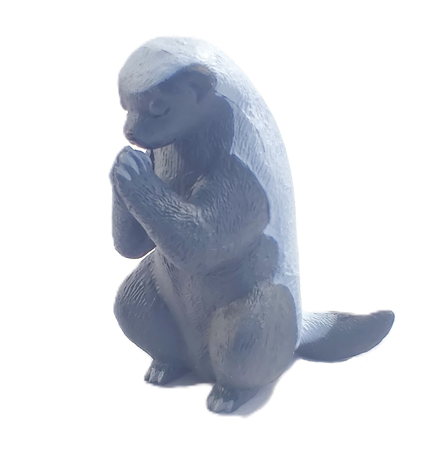 Animal Prayer 5