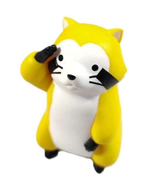 Raccoon Time