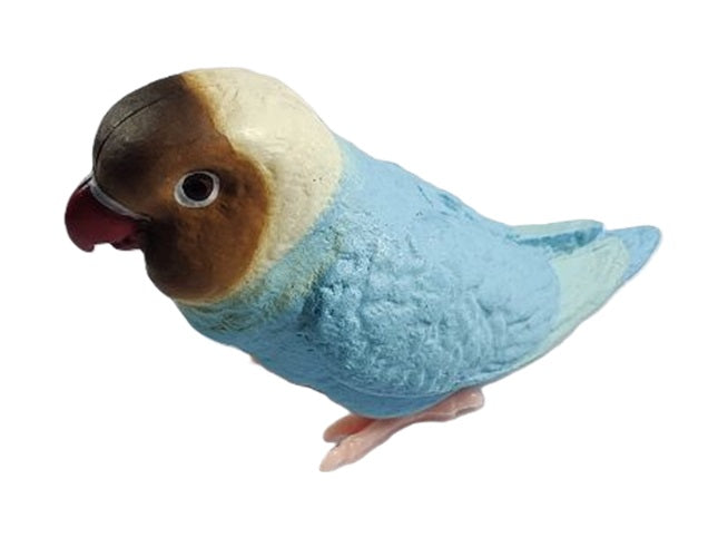 Parakeet Collection