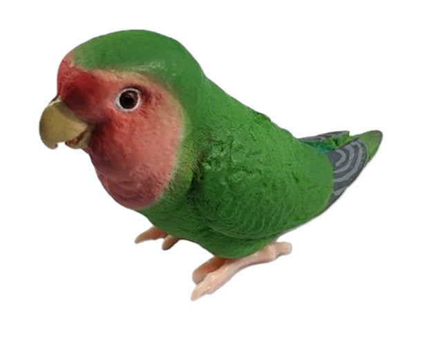 Parakeet Collection