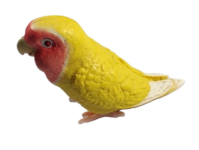 Parakeet Collection