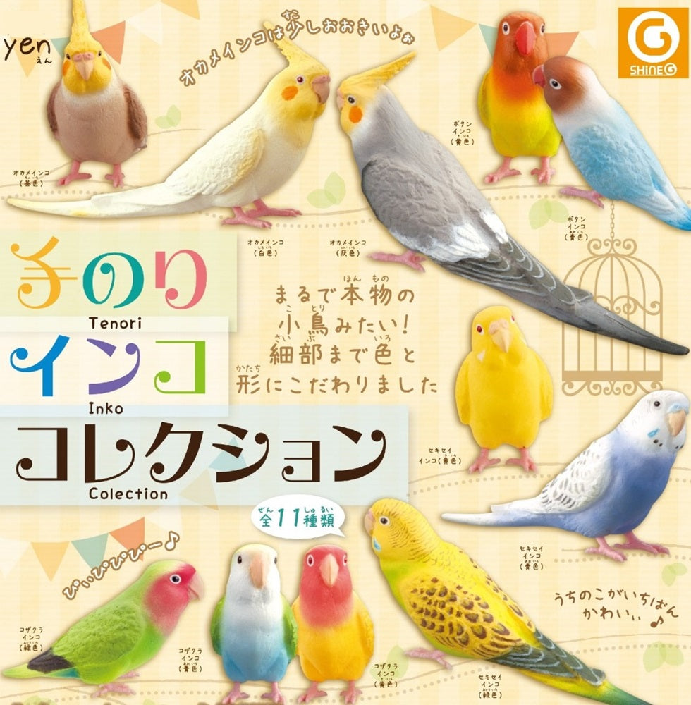 Parakeet Collection