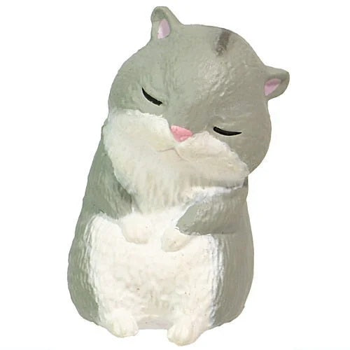 Sleepy Animals