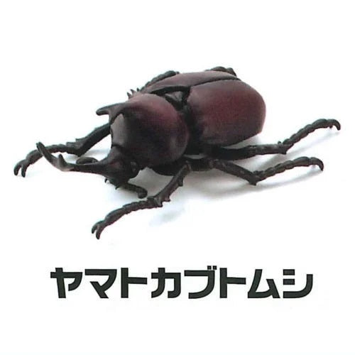 Modeling Beetles