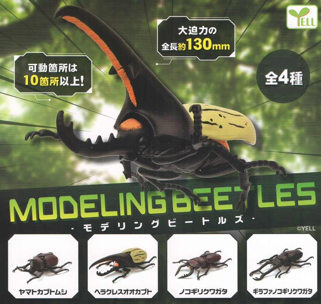 Modeling Beetles