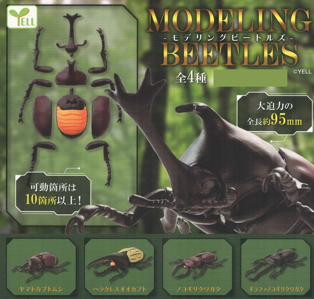Modeling Beetles