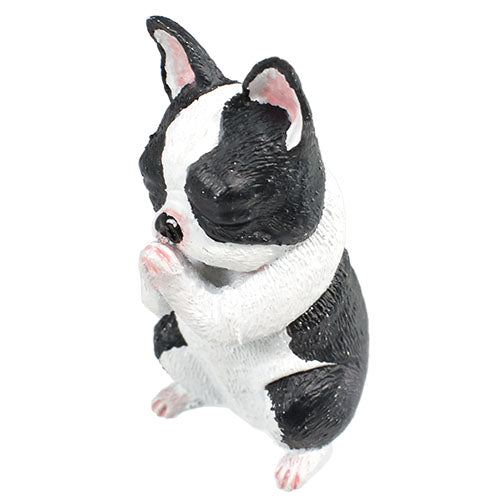 Animal Prayer 4