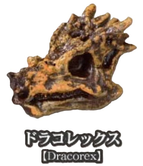 Dinosaur Fossil Museum