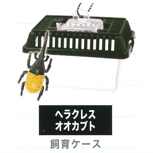 Beetle Collection Mascot Part.7