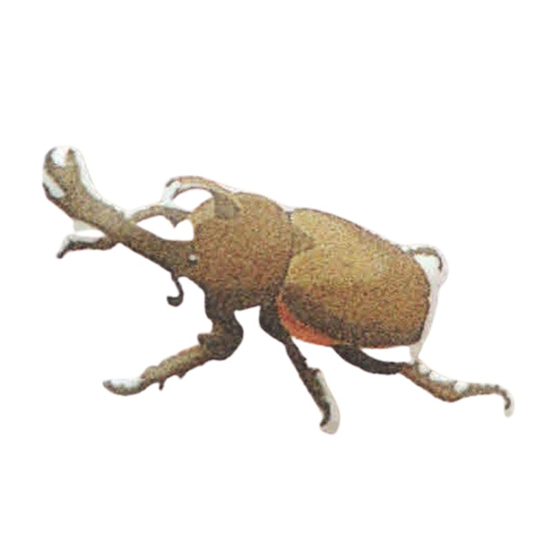 Beetle & Stag Beetle Applique