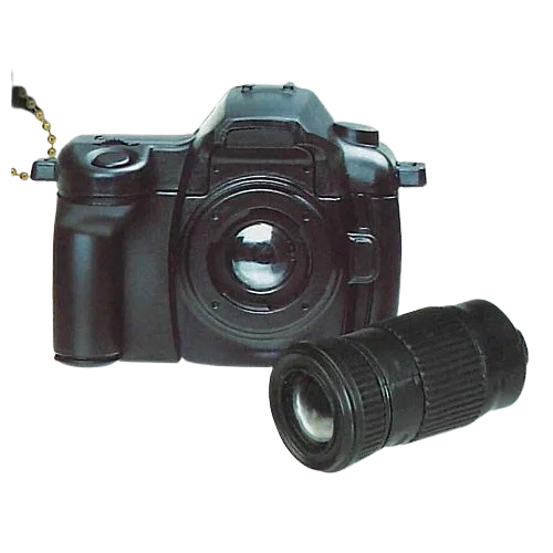 Flash lighting camera