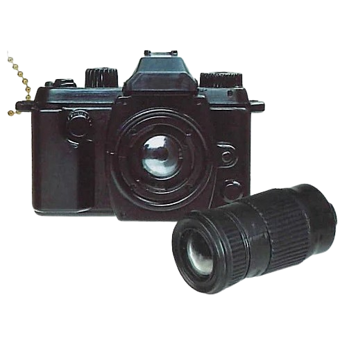 Flash lighting camera