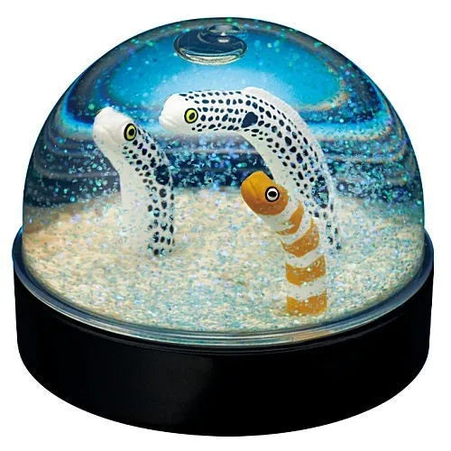 Water Dome Factory Marine Life Edition
