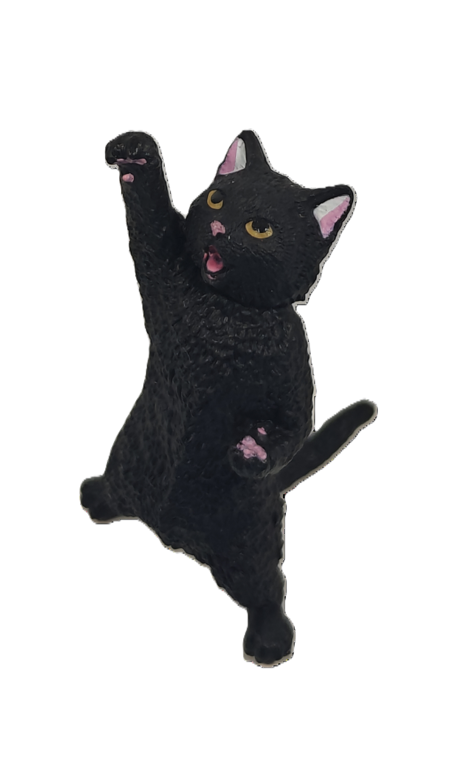 Cheer You Up Cat 2