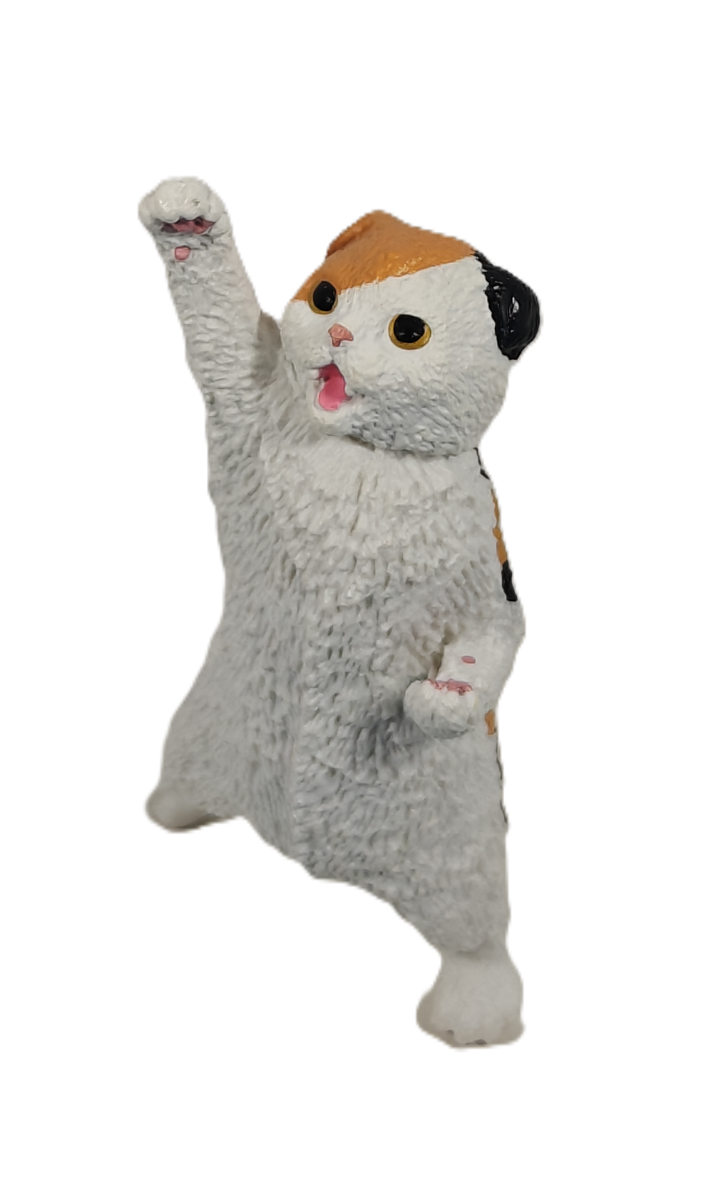 Cheer You Up Cat 2