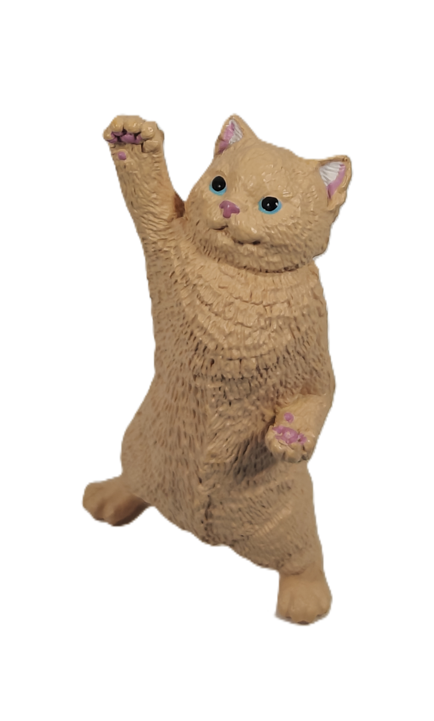 Cheer You Up Cat 2