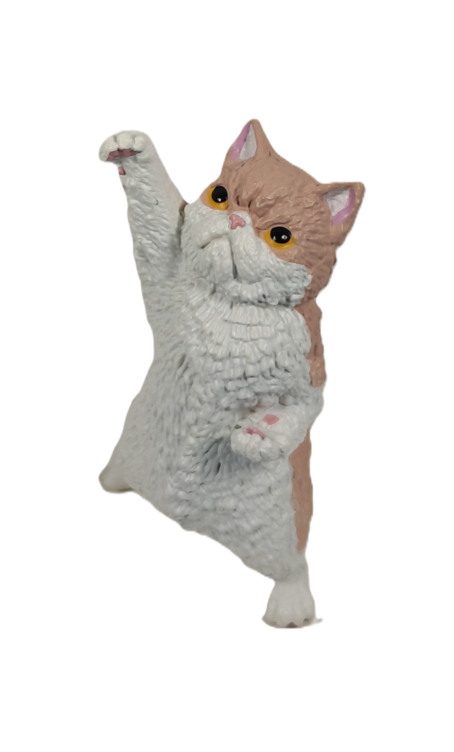Cheer You Up Cat 2