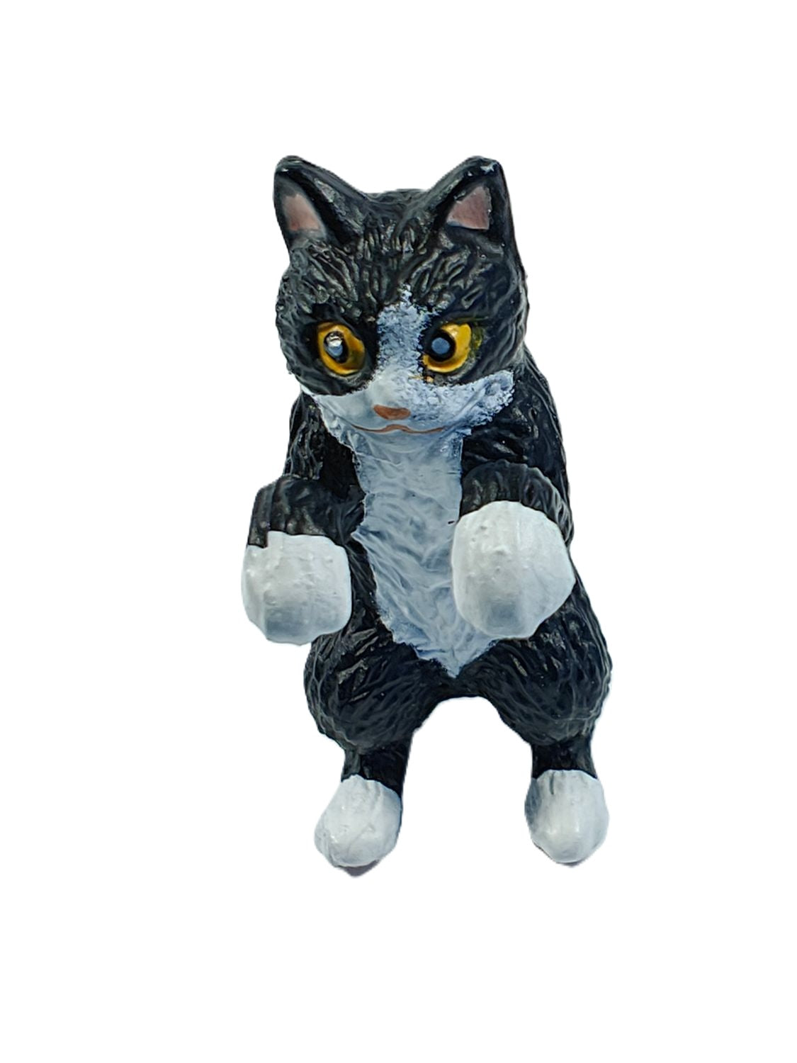 Hang On Cats 6