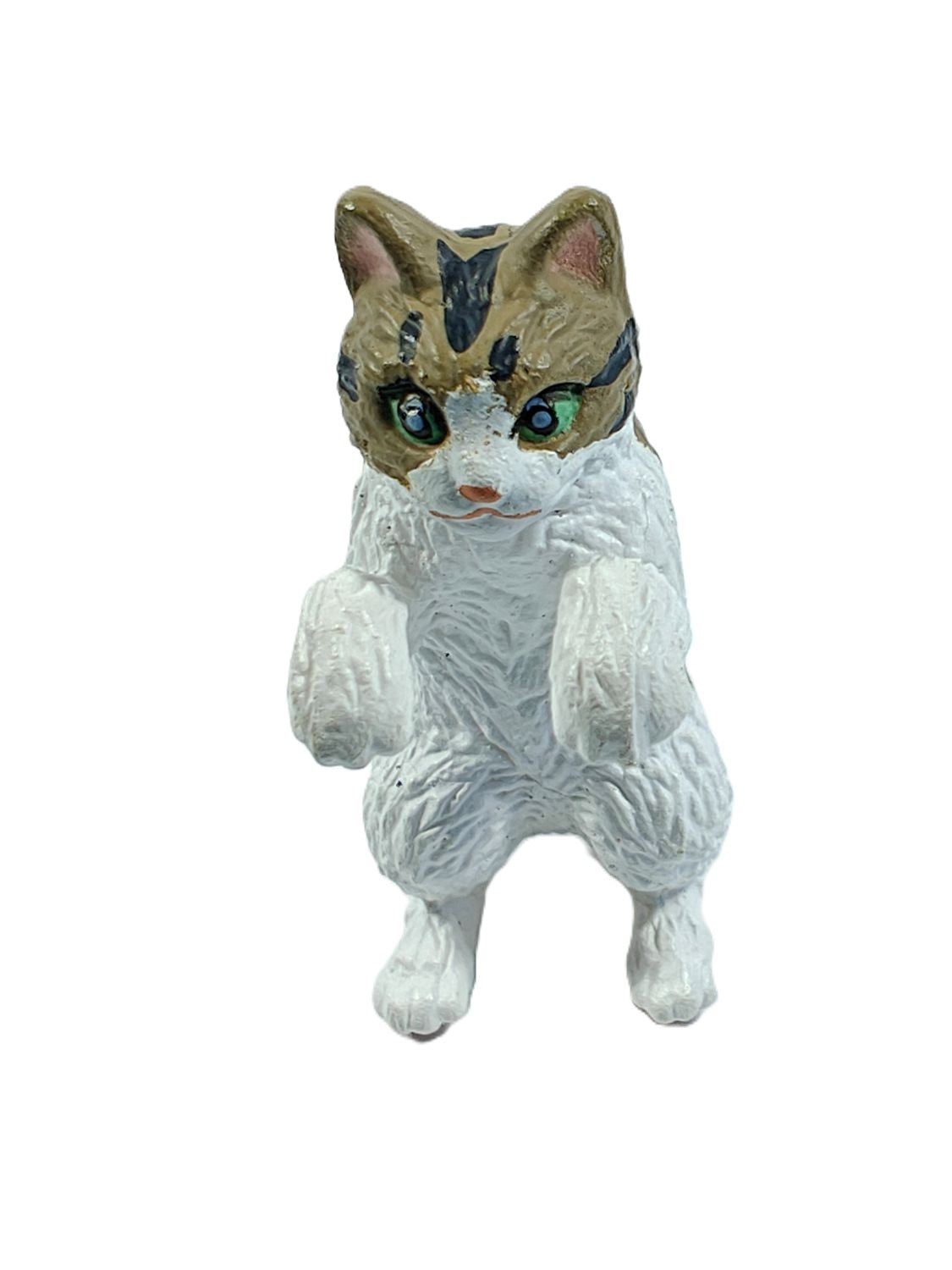 Hang On Cats 6