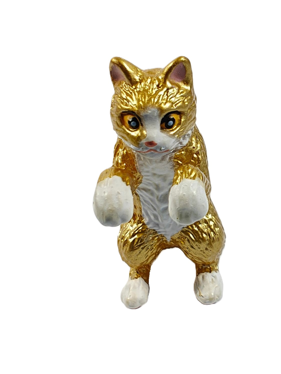 Hang On Cats 6