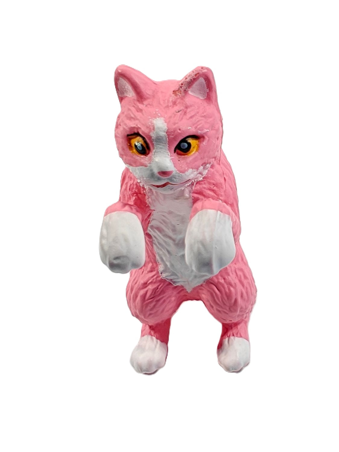 Hang On Cats 6
