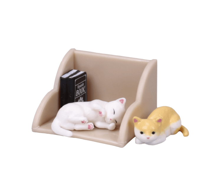 Shelf cat 3