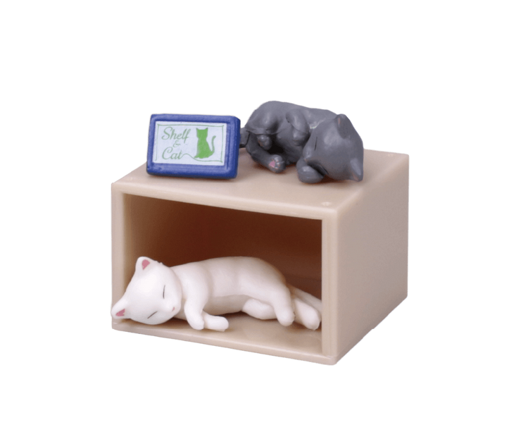 Shelf cat 3