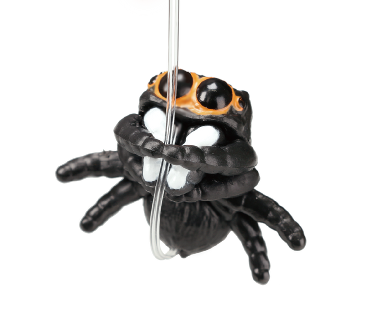 Cute Spider