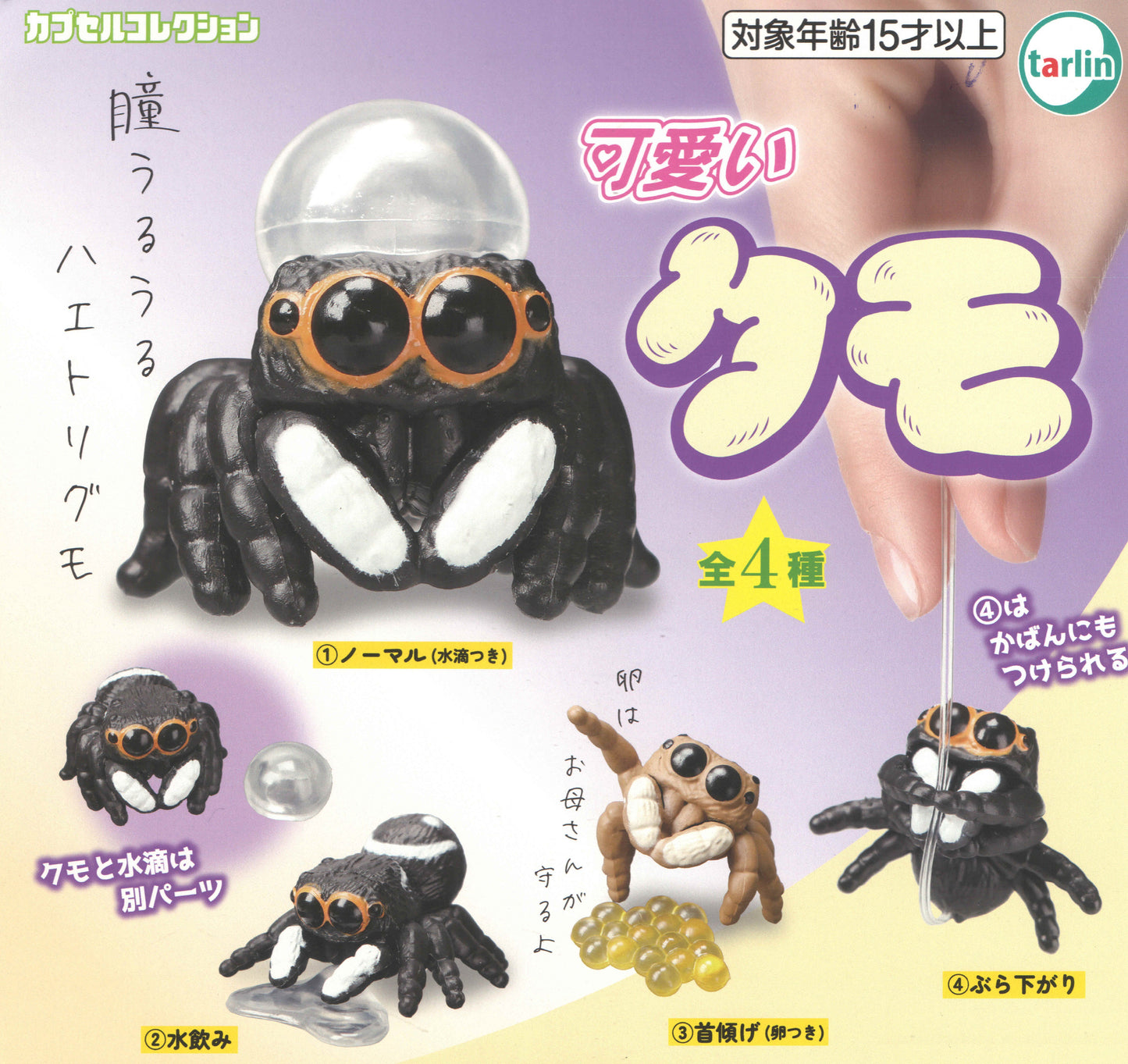 Cute Spider