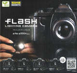 Flash lighting camera