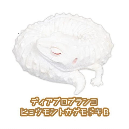 Leopard Gecko Good Night Series Part.2 β view 9