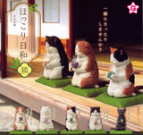 Tea Time Cat