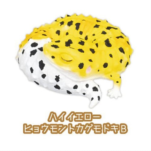 Leopard Gecko Good Night Series Part.2