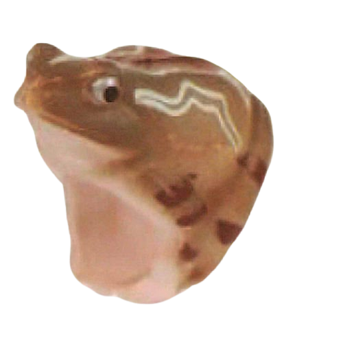 Dakitsuki Frog Ring