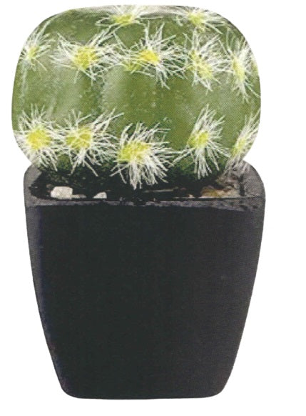 Artificial Succulent Plants