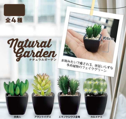 Artificial Succulent Plants