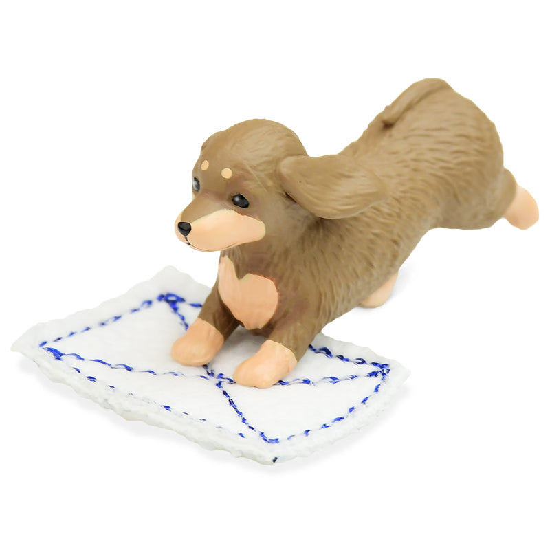 Mopping Doggy
